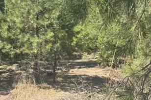 605 Sumpter Valley Hwy, Sumpter, OR 97877 - Photo 17