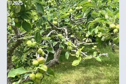 63414 Mobilane Rd, Coos Bay, OR 97420 - Photo 9