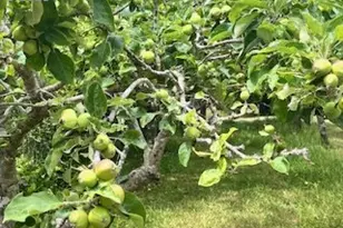 63414 Mobilane Rd, Coos Bay, OR 97420 - Photo 9