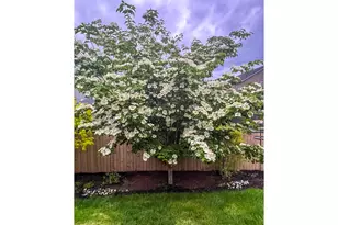 10102 NE 139th Ave, Vancouver, WA 98682 - Photo 39