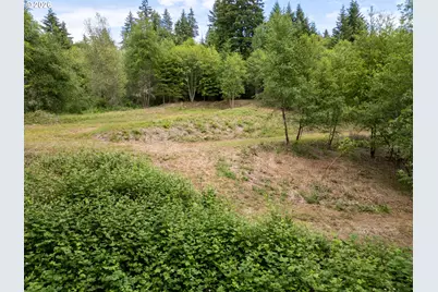 40149 SE Kitzmiller Rd, Eagle Creek, OR 97022 - Photo 13