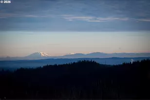 38252 S Blair Rd, Molalla, OR 97038 - Photo 29