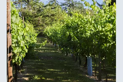 11700 NE 279th St, Battle Ground, WA 98604 - Photo 3