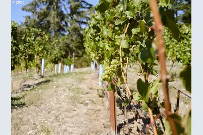 11700 NE 279th St, Battle Ground, WA 98604 - Photo 35