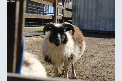 11700 NE 279th St, Battle Ground, WA 98604 - Photo 33