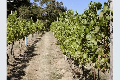 11700 NE 279th St, Battle Ground, WA 98604 - Photo 7