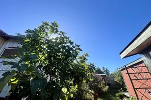 16391 Hwy 101, Brookings, OR 97415 - Photo 37