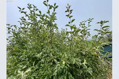 16391 Highway 101 #48, Brookings, OR 97415 - Photo 45