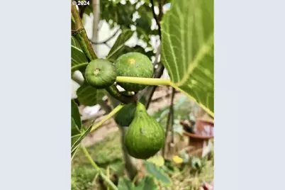 16391 Highway 101 #48, Brookings, OR 97415 - Photo 43