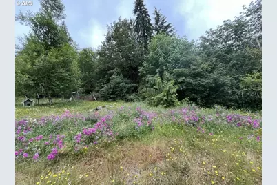 90100 Lake Creek Mountain Rd, Deadwood, OR 97430 - Photo 17