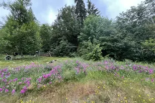 90100 Lake Creek Mountain Rd, Deadwood, OR 97430 - Photo 17