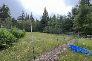 90100 Lake Creek Mountain Rd, Deadwood, OR 97430 - Photo 27
