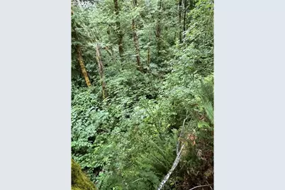 90100 Lake Creek Mountain Rd, Deadwood, OR 97430 - Photo 19