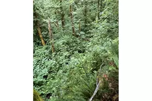 90100 Lake Creek Mountain Rd, Deadwood, OR 97430 - Photo 19