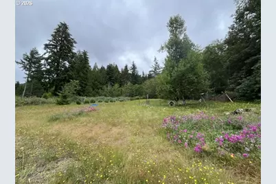 90100 Lake Creek Mountain Rd, Deadwood, OR 97430 - Photo 17