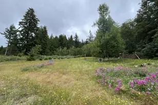 90100 Lake Creek Mountain Rd, Deadwood, OR 97430 - Photo 17