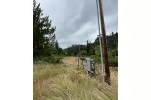 90100 Lake Creek Mountain Rd, Deadwood, OR 97430 - Photo 21