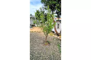 180 Twin Oaks Loop, Winston, OR 97496 - Photo 9