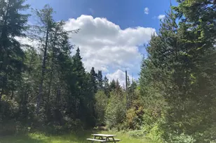 88190 Dew Valley Ln, Bandon, OR 97411 - Photo 37