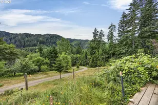 15745 Hwy 36, Deadwood, OR 97430 - Photo 47