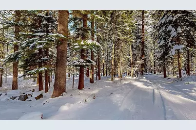 84753 Talmena Rd, Joseph, OR 97846 - Photo 43