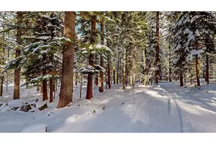 84753 Talmena Rd, Joseph, OR 97846 - Photo 43