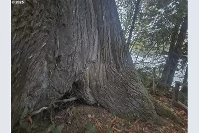 96015 Sunlake Ln, Lakeside, OR 97449 - Photo 25