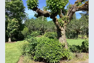 1210 SE 179th Ave, Portland, OR 97233 - Photo 19