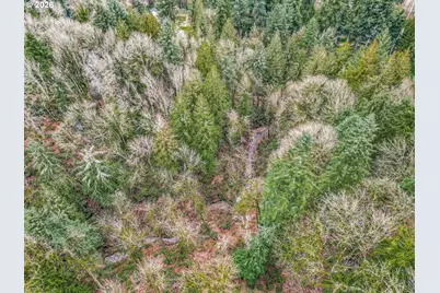 Clackamas River Dr, Oregon City, OR 97045 - Photo 15