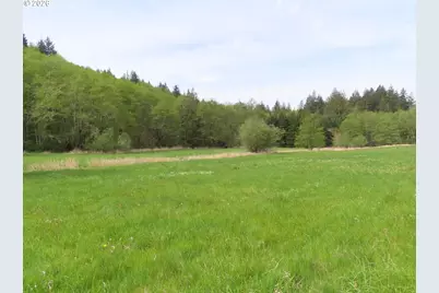 Hagen Rd, Mossyrock, WA 98564 - Photo 25