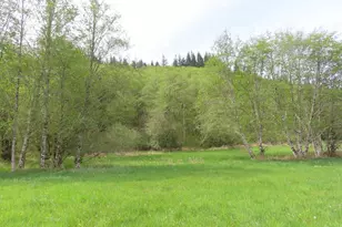 Hagen Rd, Mossyrock, WA 98564 - Photo 1