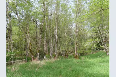 Hagen Rd, Mossyrock, WA 98564 - Photo 17