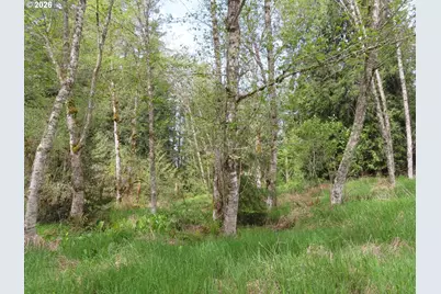 Hagen Rd, Mossyrock, WA 98564 - Photo 23