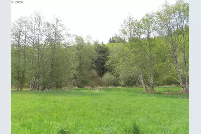 Hagen Rd, Mossyrock, WA 98564 - Photo 15