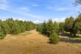 610 Sunnyside Rd, Trout Lake, WA 98650 - Photo 5