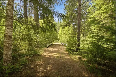 610 Sunnyside Rd, Trout Lake, WA 98650 - Photo 35