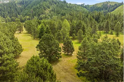 610 Sunnyside Rd, Trout Lake, WA 98650 - Photo 41