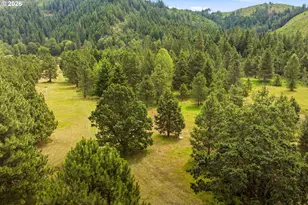 610 Sunnyside Rd, Trout Lake, WA 98650 - Photo 41