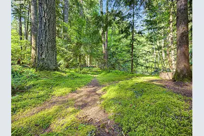 79635 E Rd 35 Lot 155, Rhododendron, OR 97049 - Photo 39