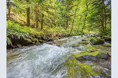 79635 E Rd 35 Lot 155, Rhododendron, OR 97049 - Photo 47