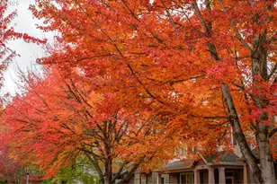 1179 SE Leander St, Hillsboro, OR 97123 - Photo 7