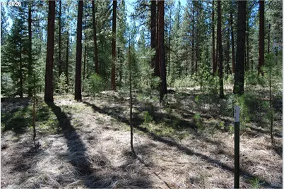 39988 Rhody Rd, Baker City, OR 97814 - Photo 11