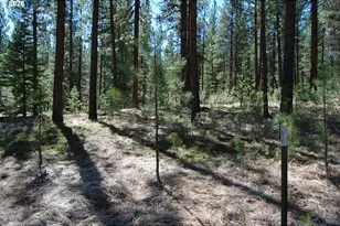 39988 Rhody Rd, Baker City, OR 97814 - Photo 11