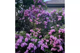 605 M Ave, La Grande, OR 97850 - Photo 23