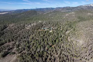 31367 Clarks Creek Rd, Mount Vernon, OR 97865 - Photo 3