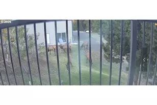 31367 Clarks Creek Rd, Mount Vernon, OR 97865 - Photo 5