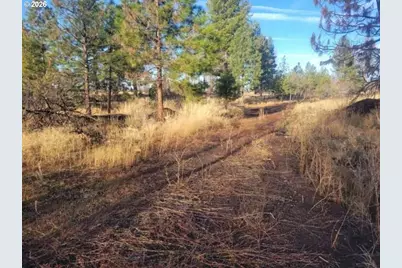 Block 106 #2, Bonanza, OR 97623 - Photo 9