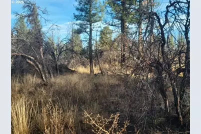 Block 106 #2, Bonanza, OR 97623 - Photo 3