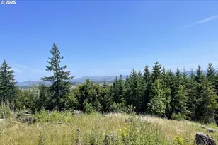 13900 NW Fir Crest Rd, McMinnville, OR 97128 - Photo 33