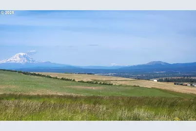 Nka Shull Ranch Rd, Centerville, WA 98613 - Photo 1